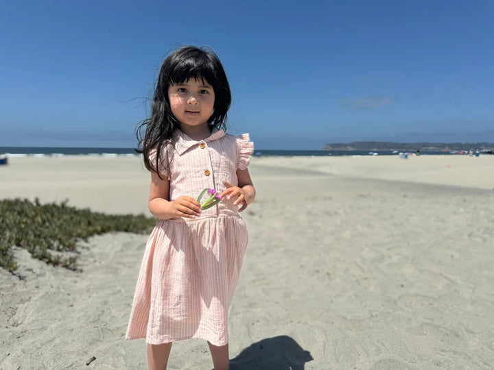 Harlow Dress in Pink Stripe