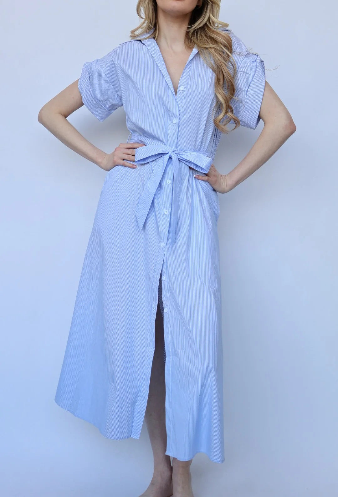 Jaime Collared Button Down Dress