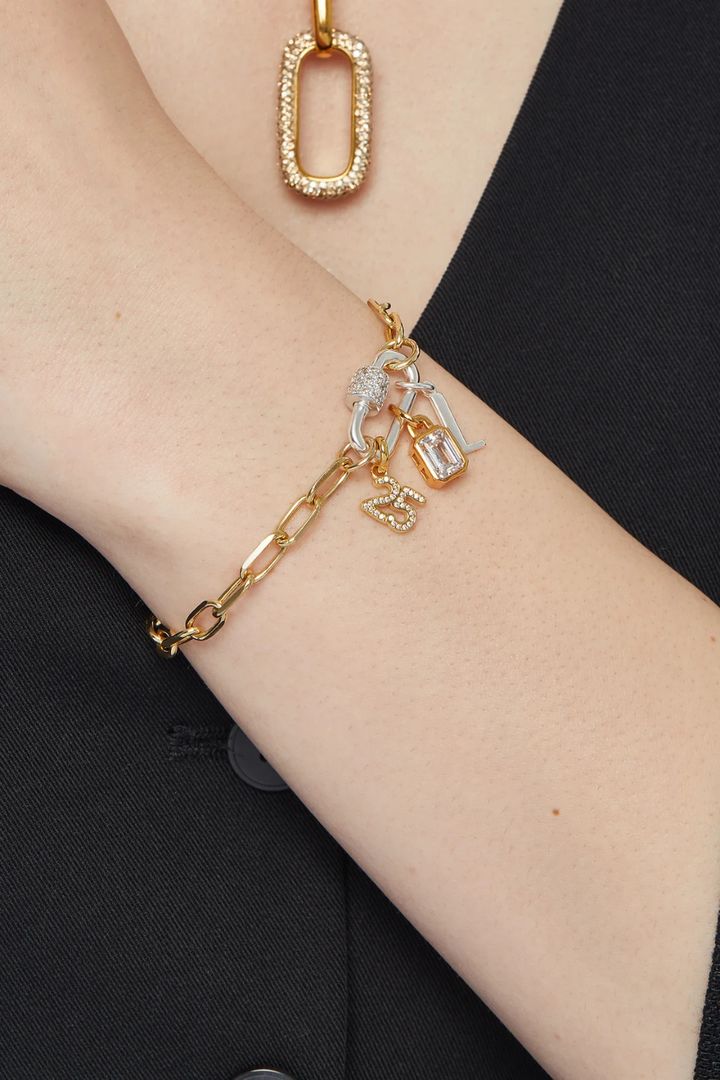 Carabiner Twist Link Charm Holder