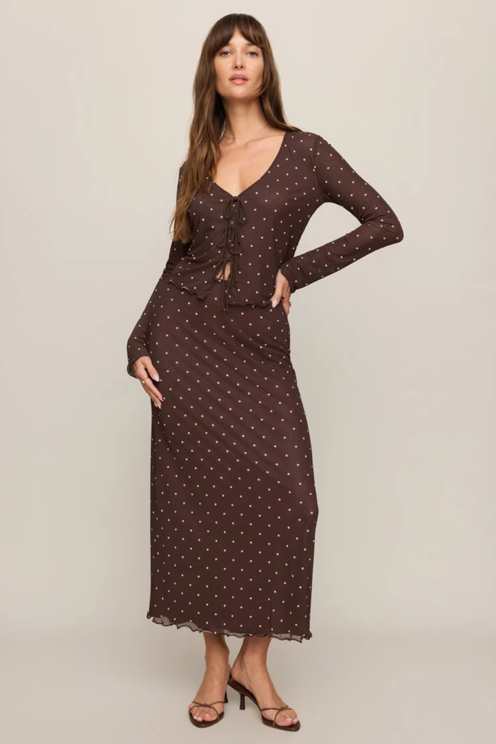 Z Supply Amara Polka Dot Mesh Top