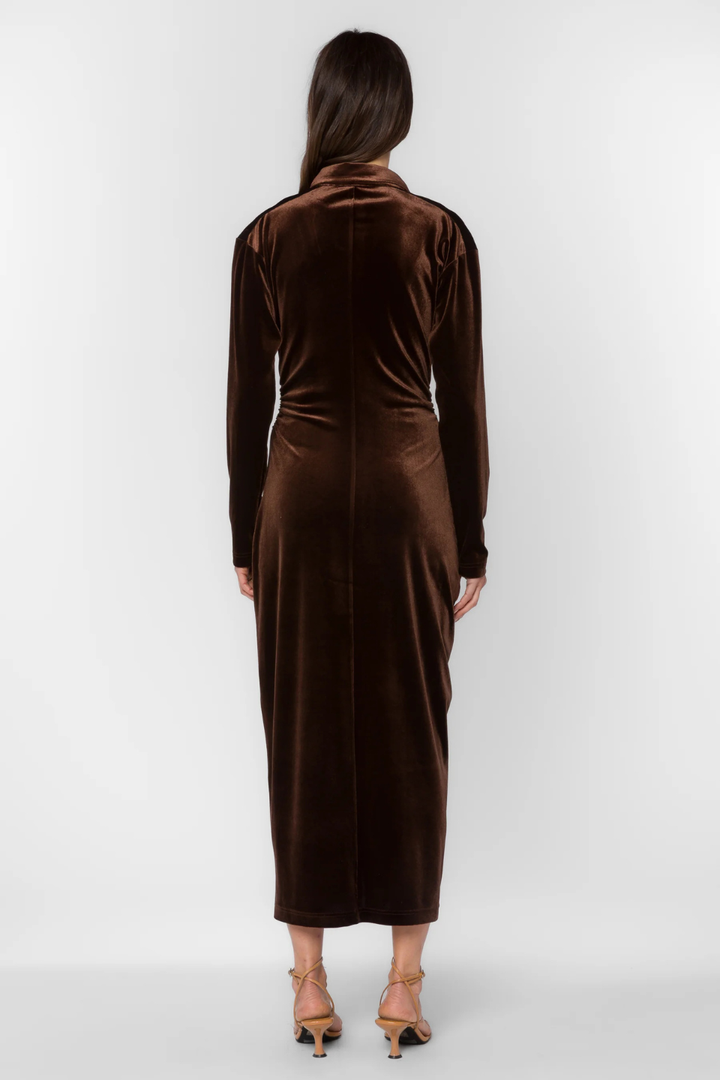 Phoenix Velvet Brown Dress