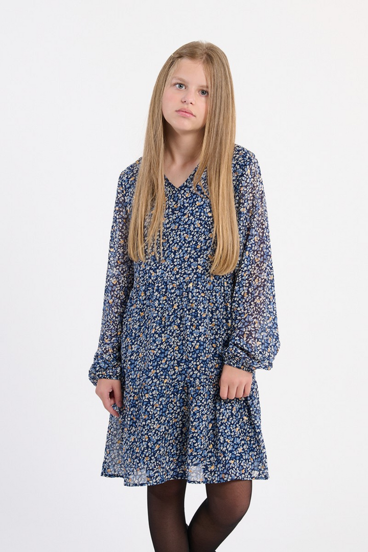 Floral voile dress