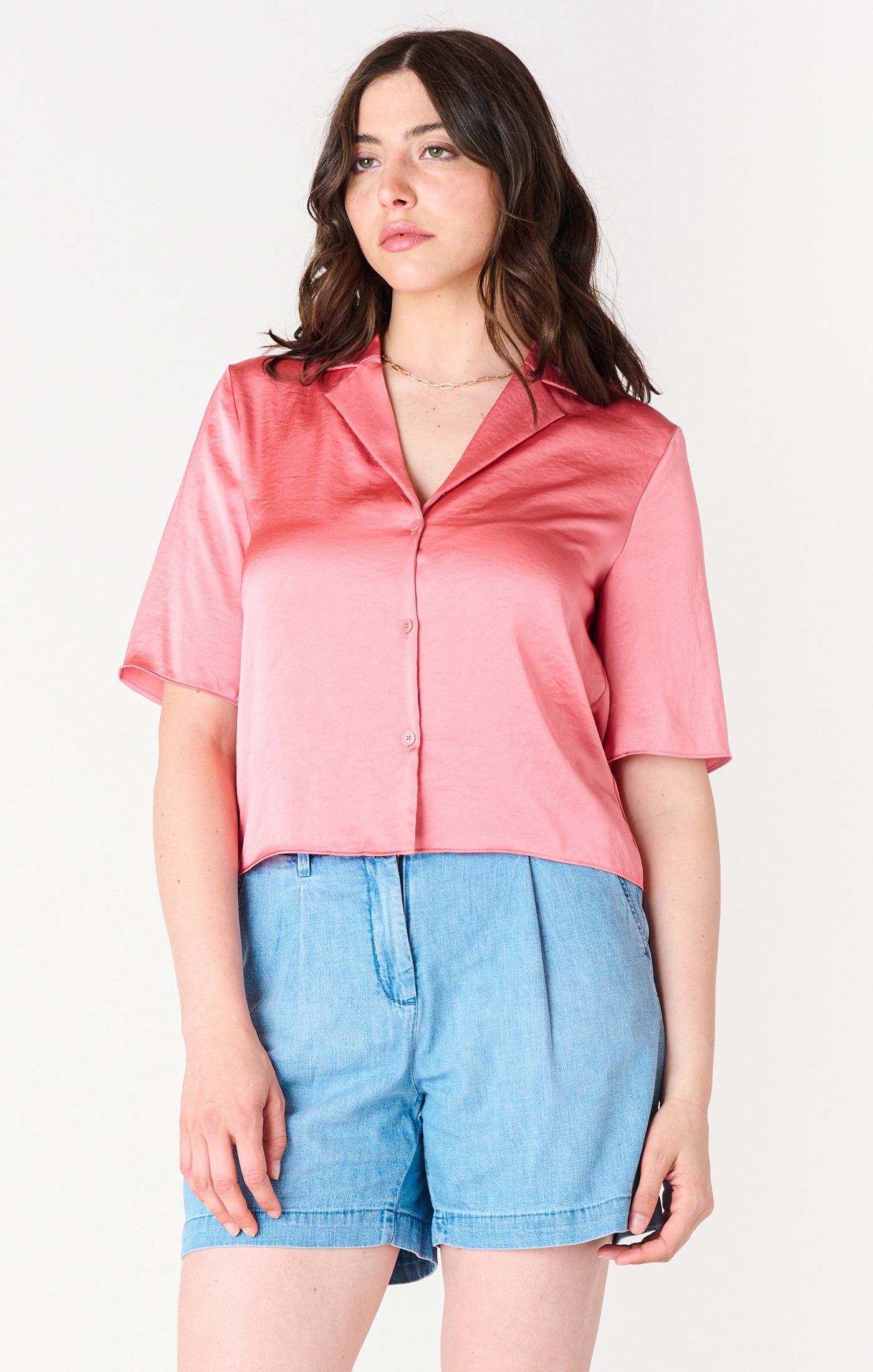Notch Collar Blouse