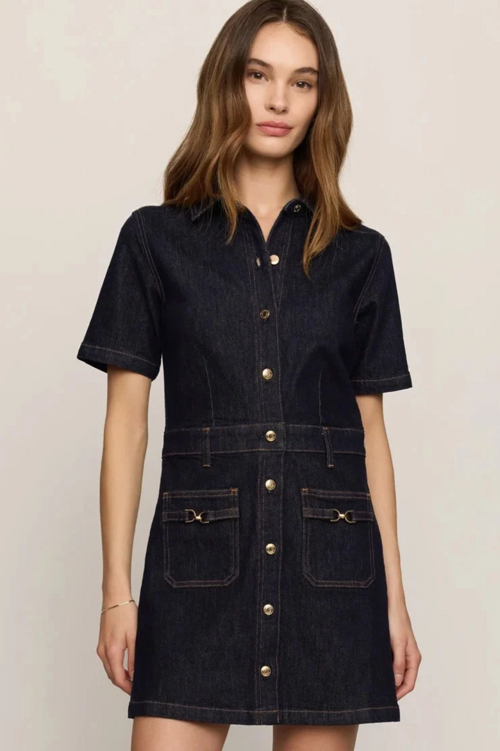 Z Supply Crush Denim Mini Dress