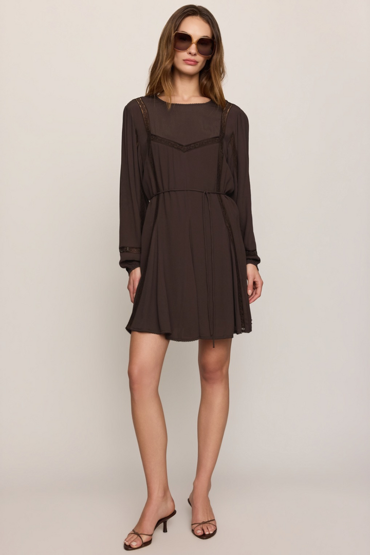 Z Supply Wilde Mini Dress