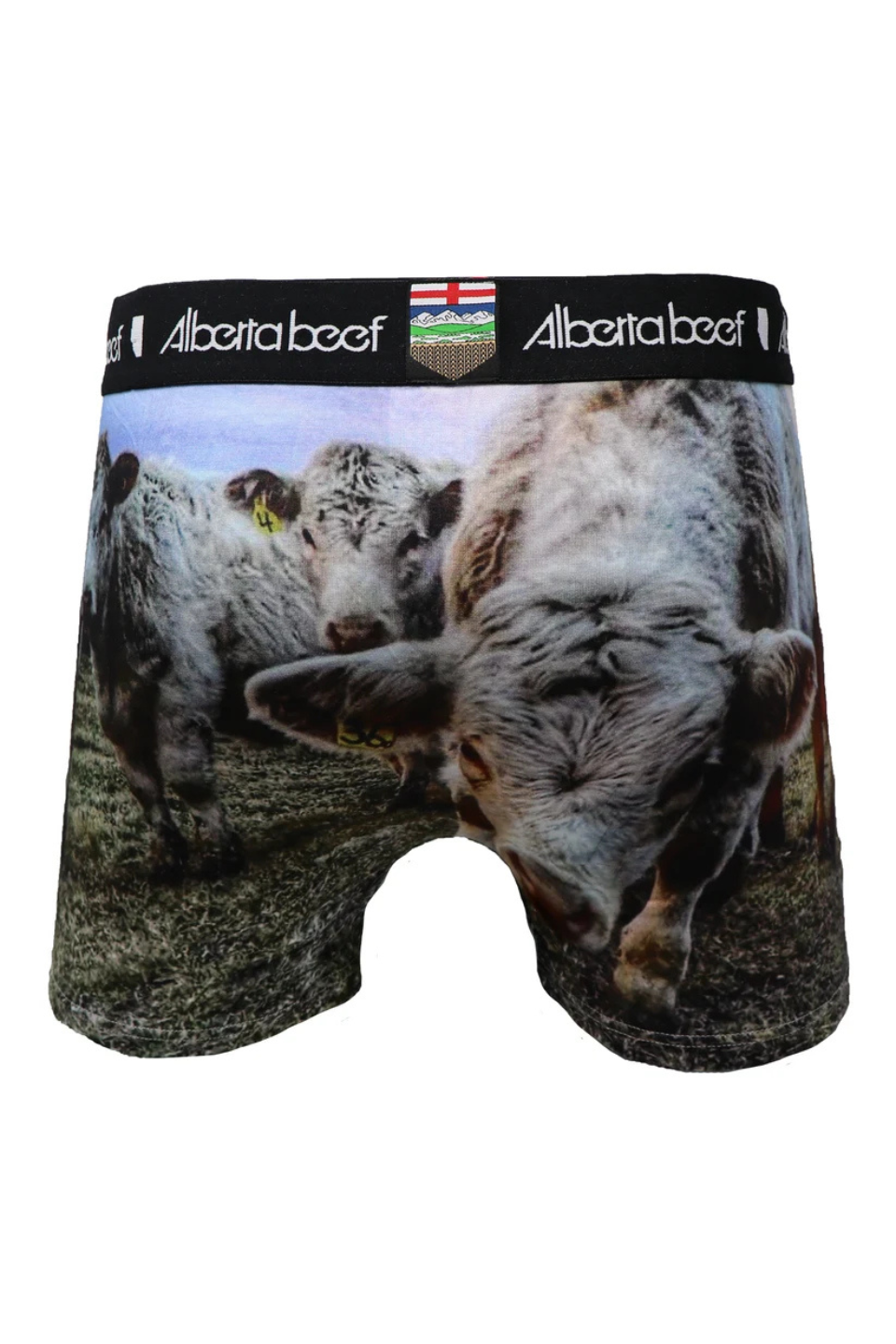 Berta Beef Posse Boxer Briefs