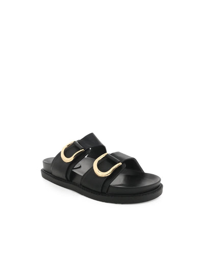 Areli Slide