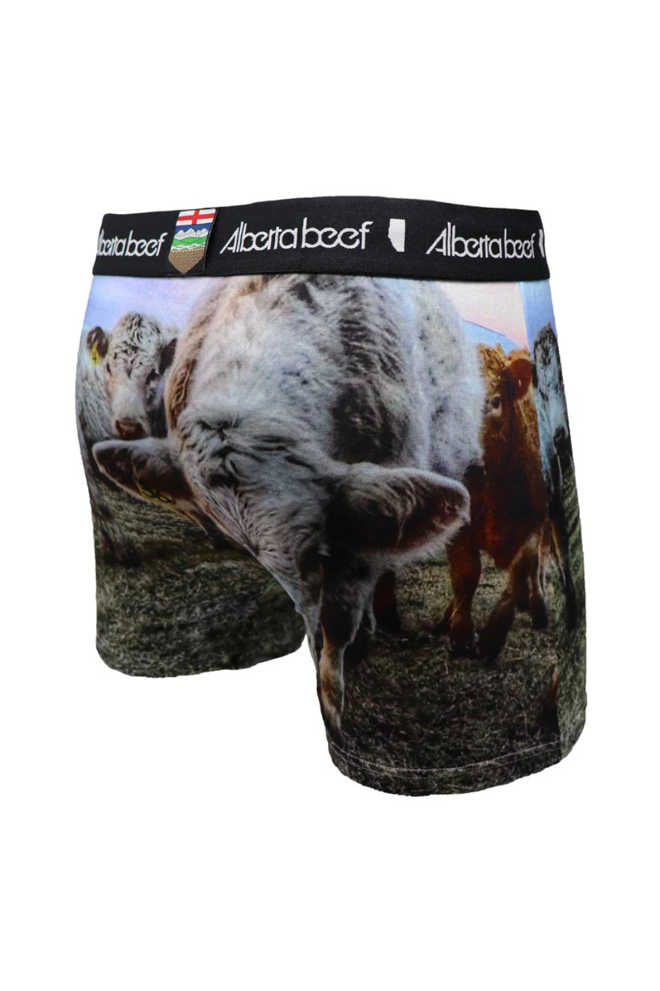 Berta Beef Posse Boxer Briefs
