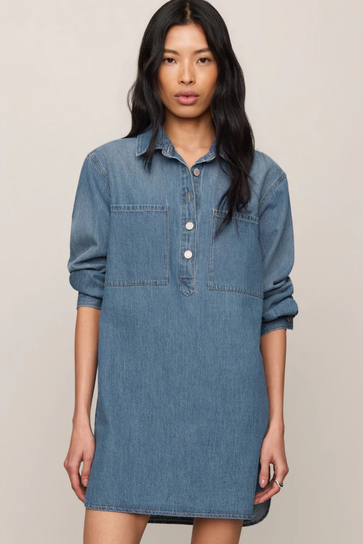 Z Supply Lucie Denim Shirt Dress