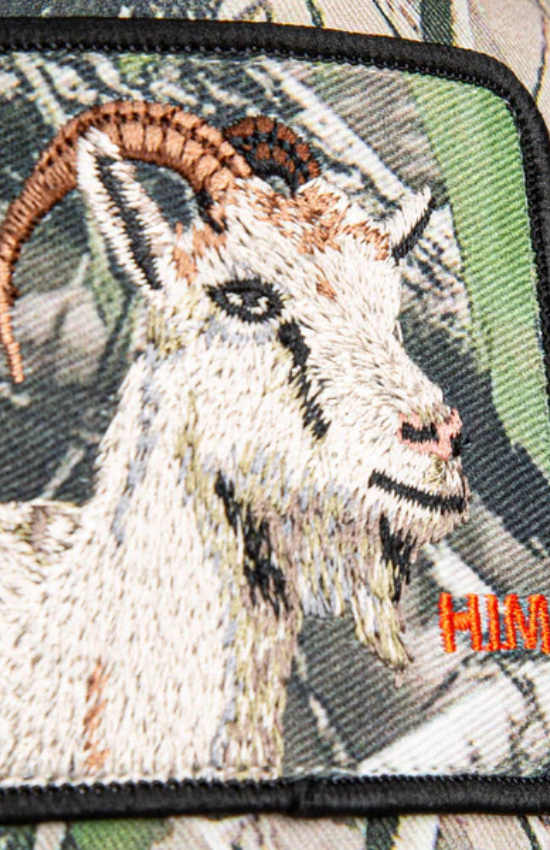 Camouflage Goat