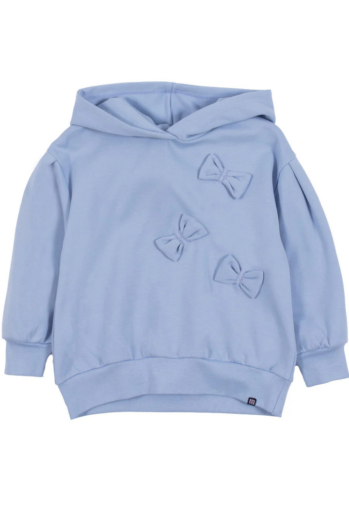 Pale Blue Hoodie