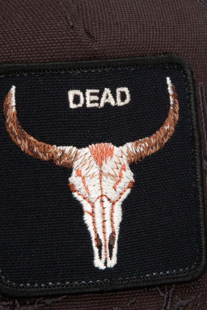Goorin Bros Badlands Skull