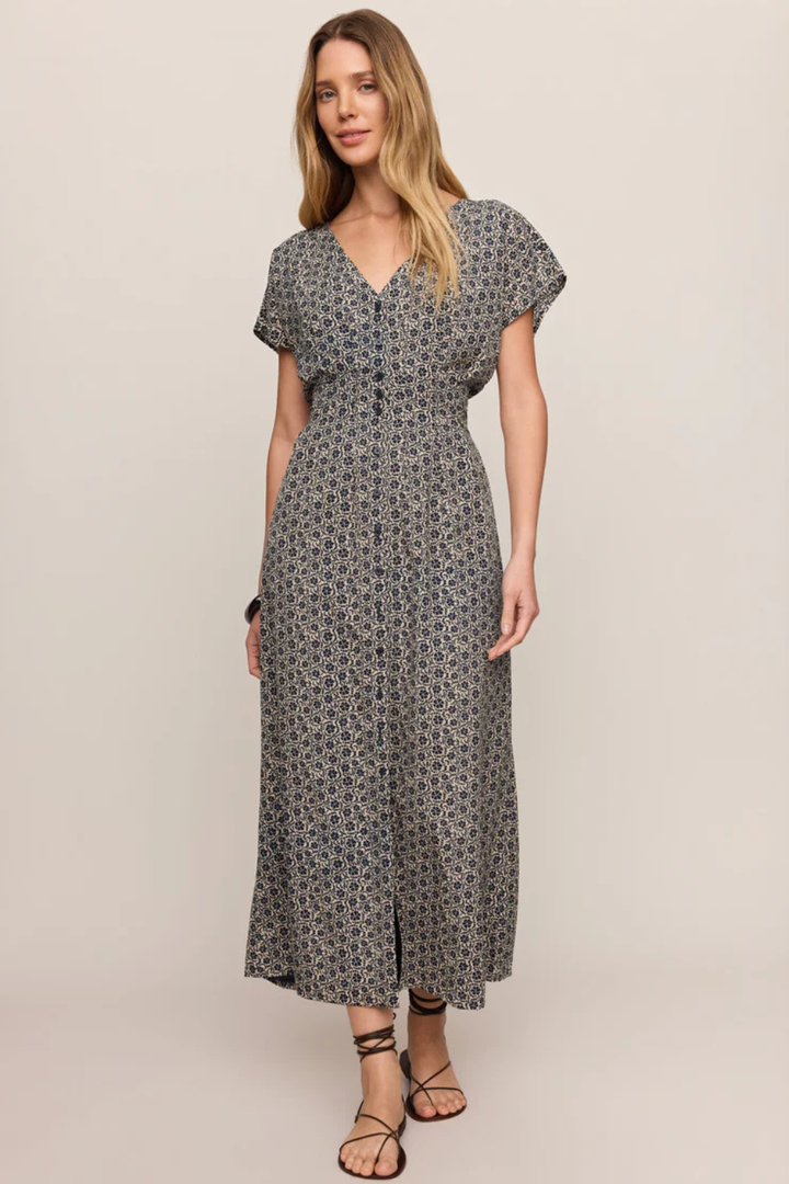 Z Supply Sanna Iris Floral Maxi Dress