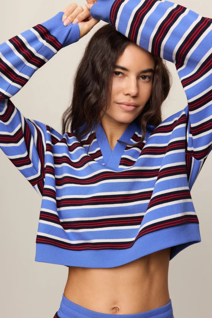 Z Supply Low Key Stripe Fleece Henley