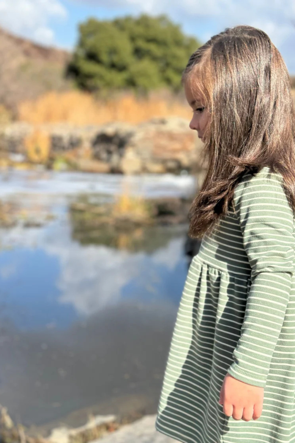 Madigan Dress in Green Stripe