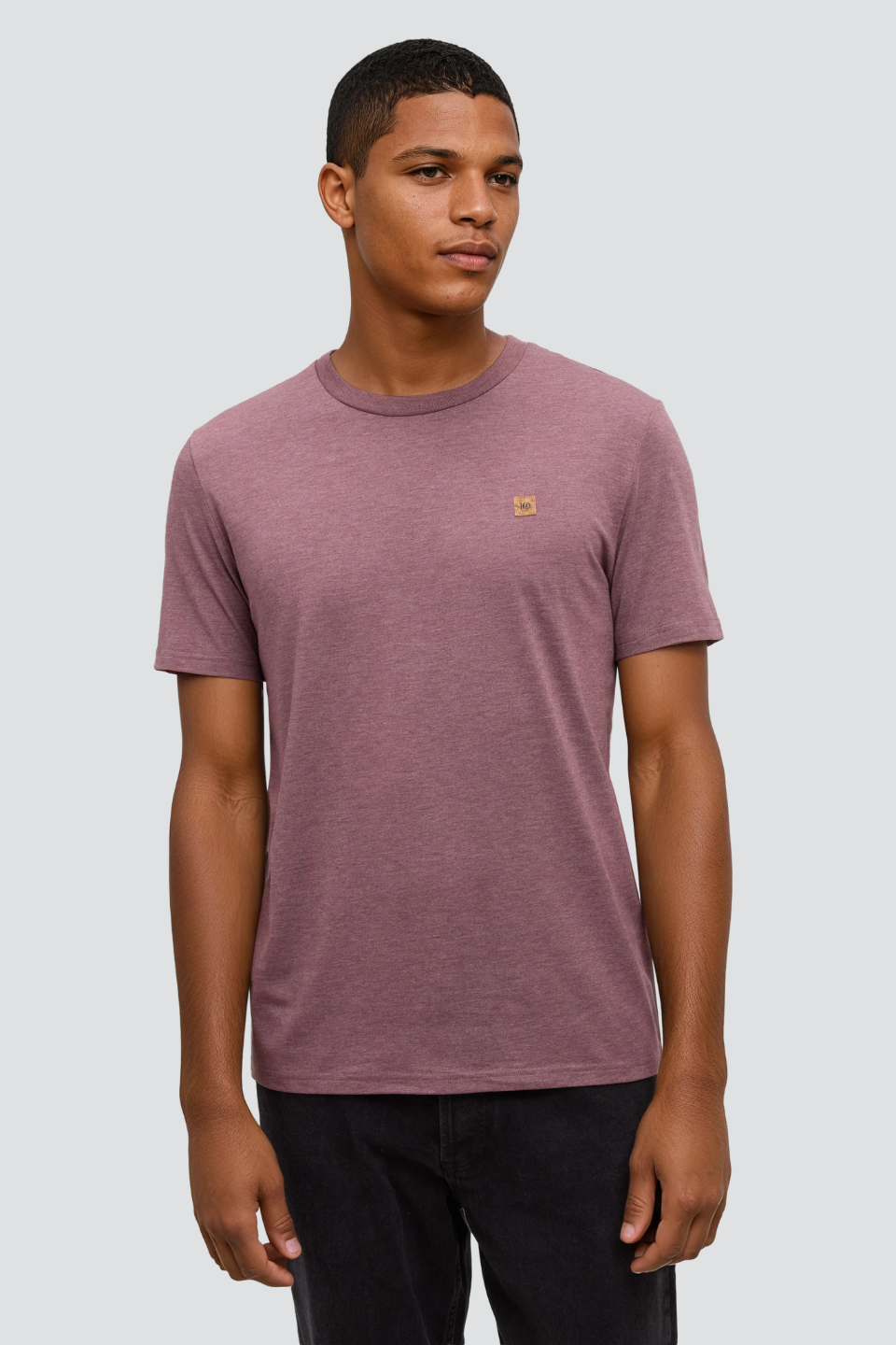 Tentree TreeBlend Baker T-Shirt