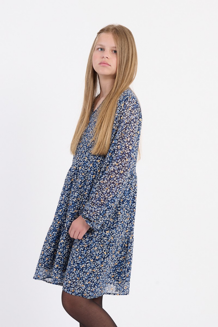 Floral voile dress