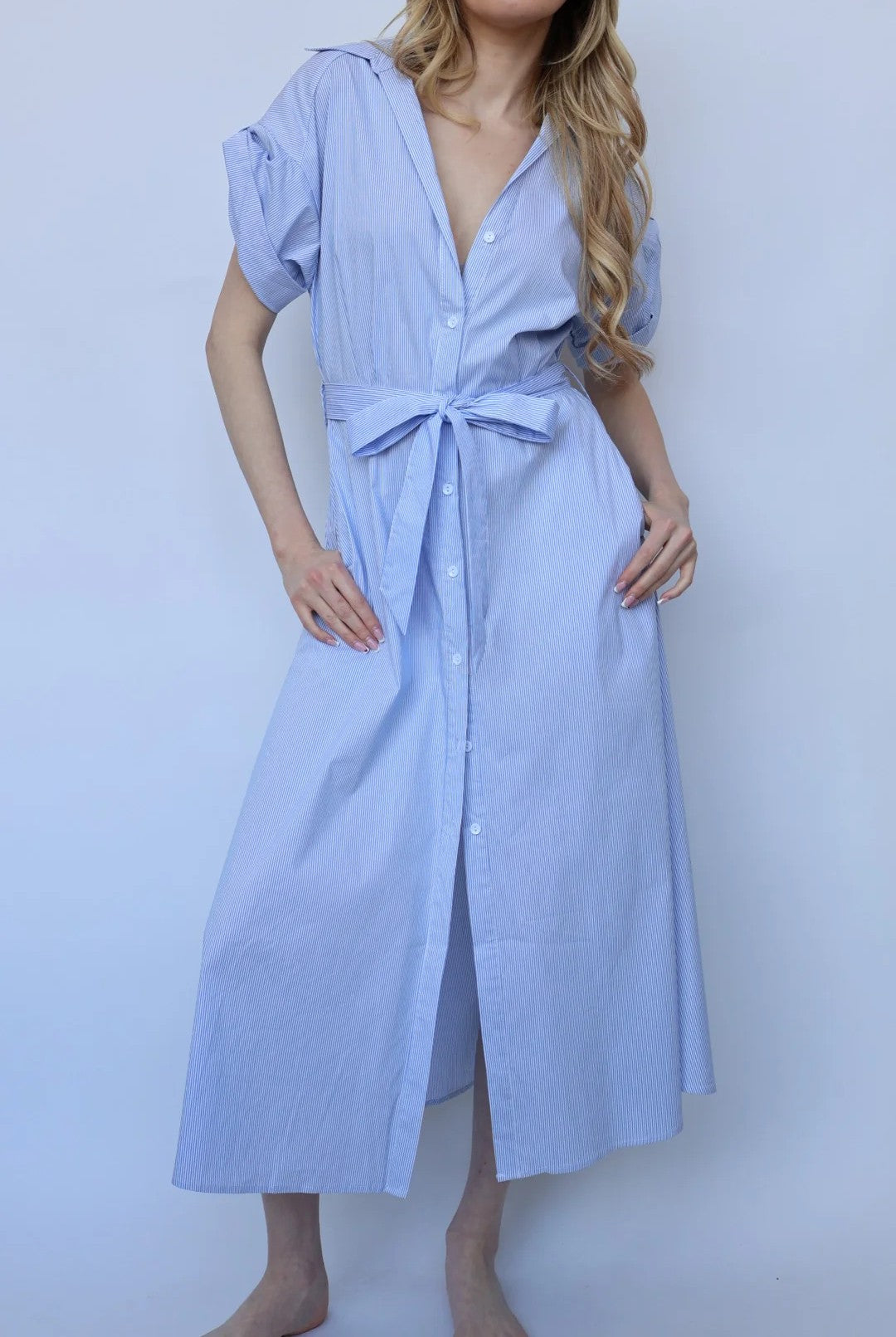 Jaime Collared Button Down Dress