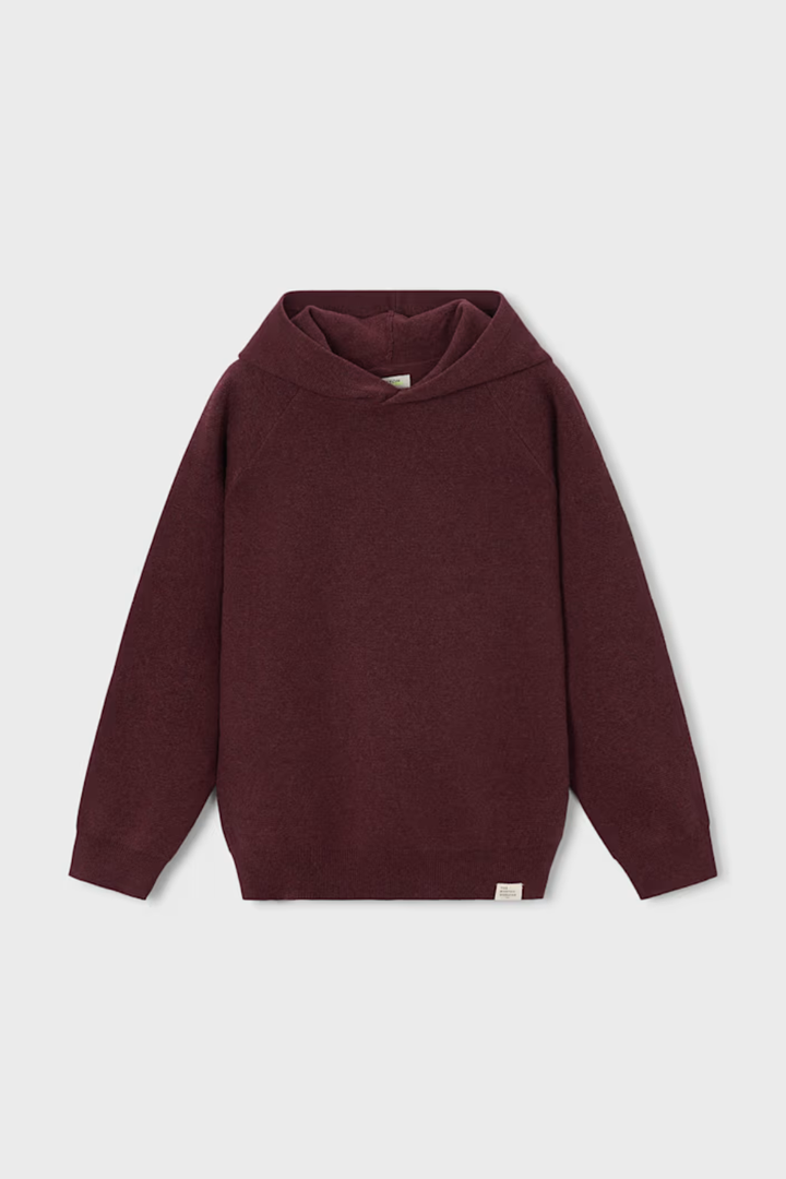 Boston Kids Hooded Sweater