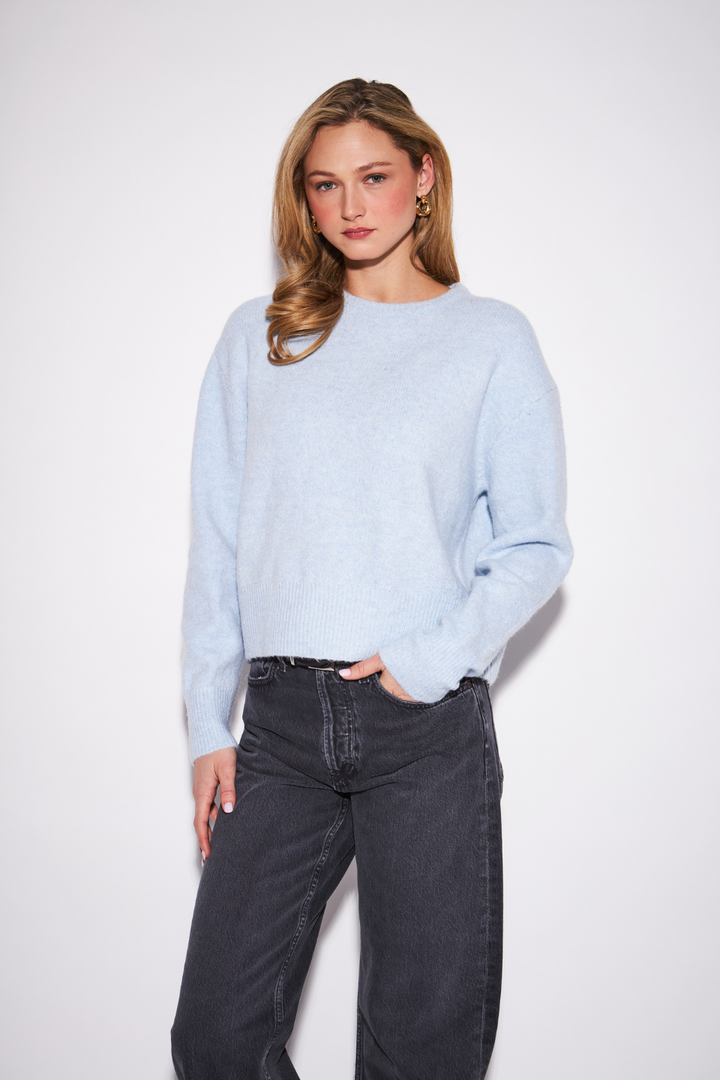 John + Jenn Wilfred Crewneck Sweater