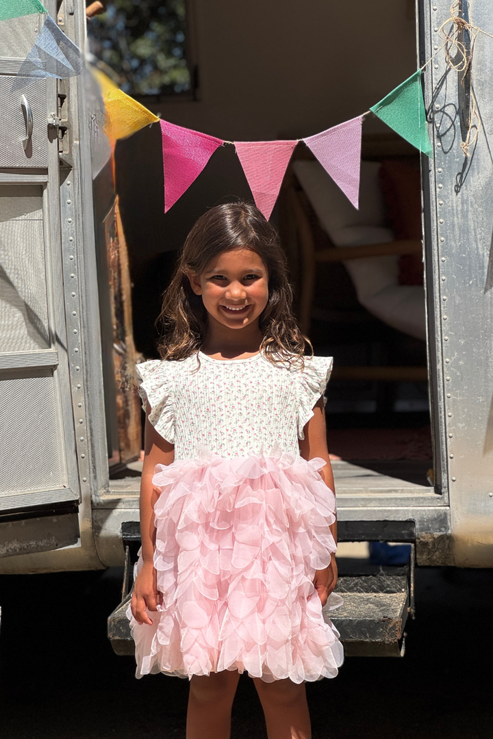 Dixie Dress - Hot Peppers Clothing