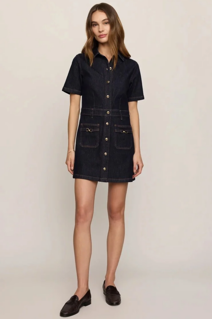 Z Supply Crush Denim Mini Dress