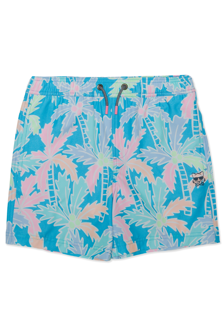 BUSY PALMS Boys Swim