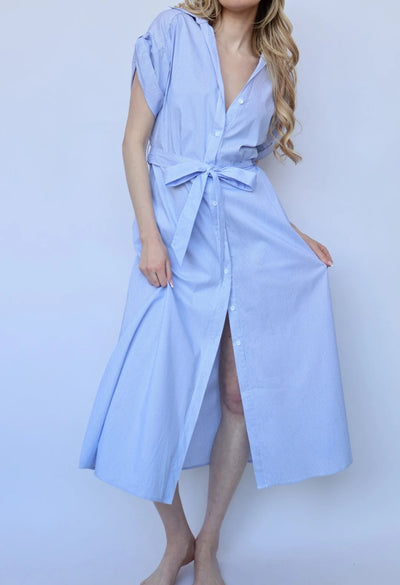 Jaime Collared Button Down Dress