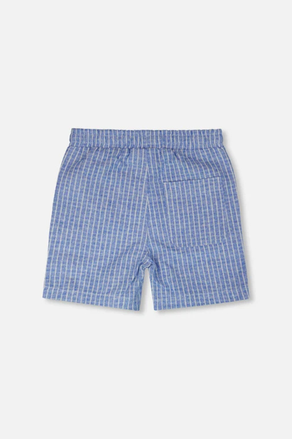 Printed Chambray Shorts Blue Denim Stripes