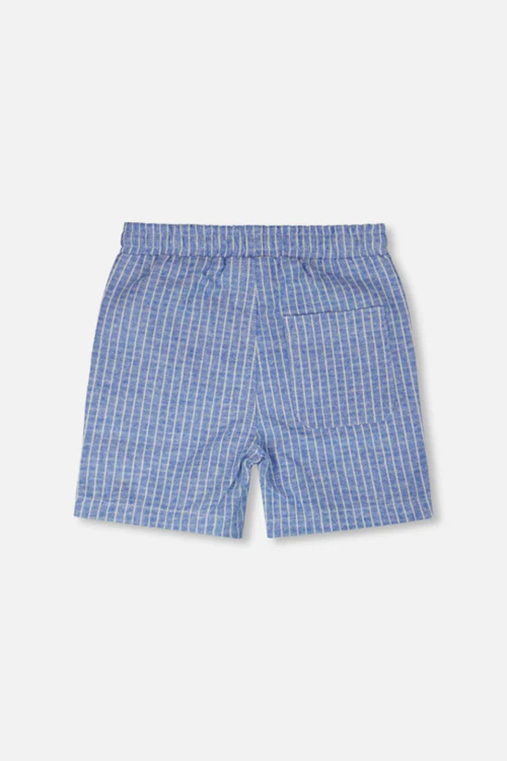 Printed Chambray Shorts Blue Denim Stripes