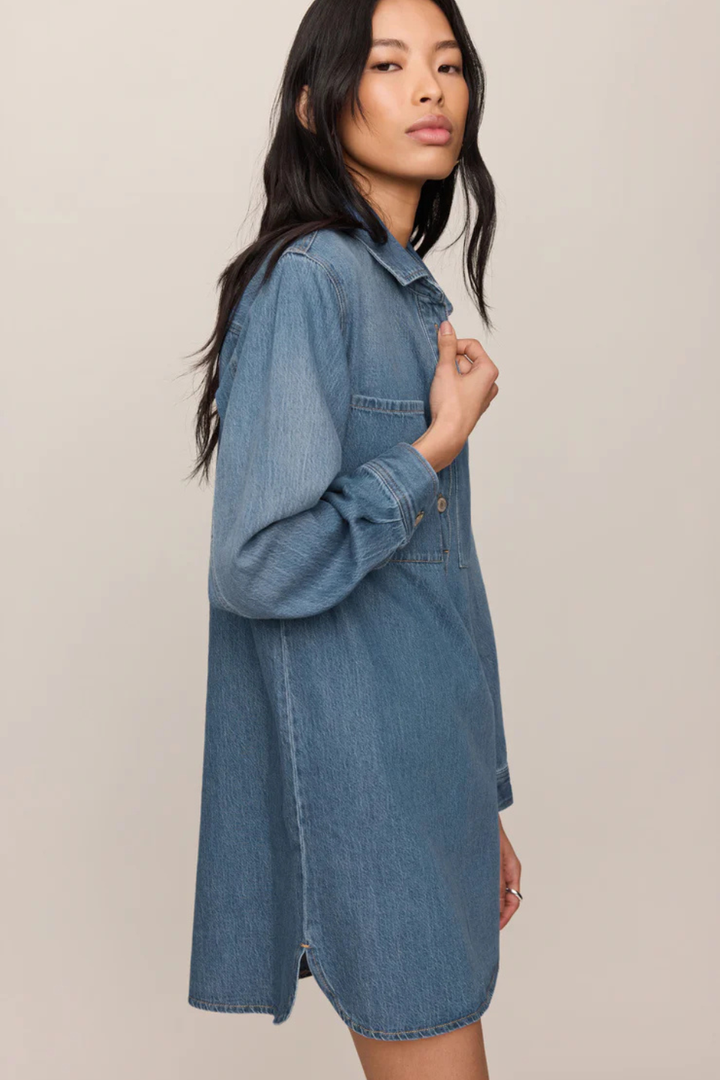 Z Supply Lucie Denim Shirt Dress
