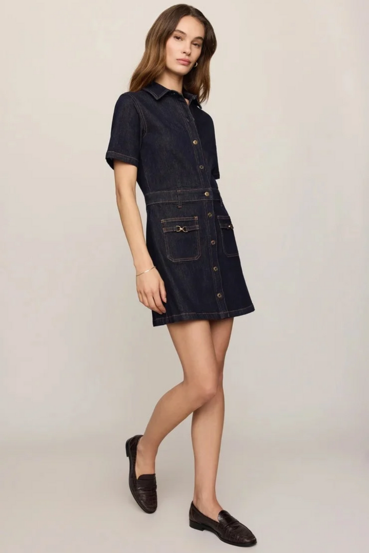 Z Supply Crush Denim Mini Dress