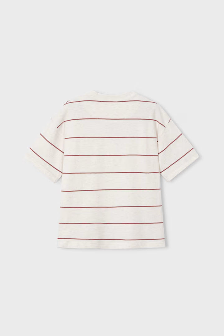 Boy Striped T-shirt Boston Kids BOSTON BRAND