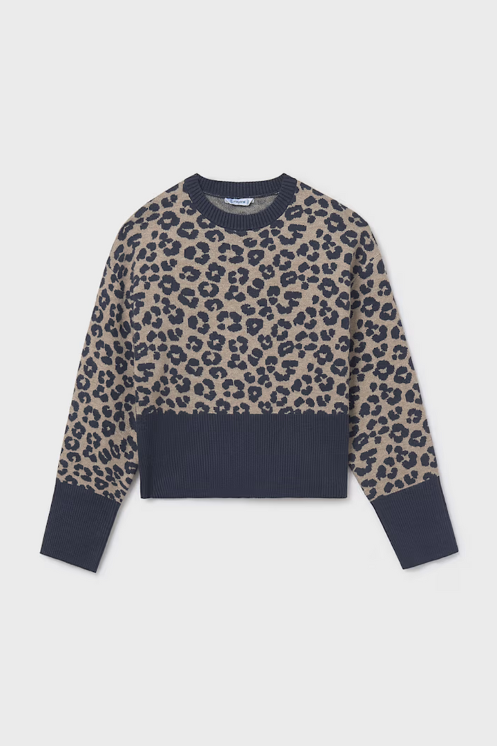Leopard Jumper