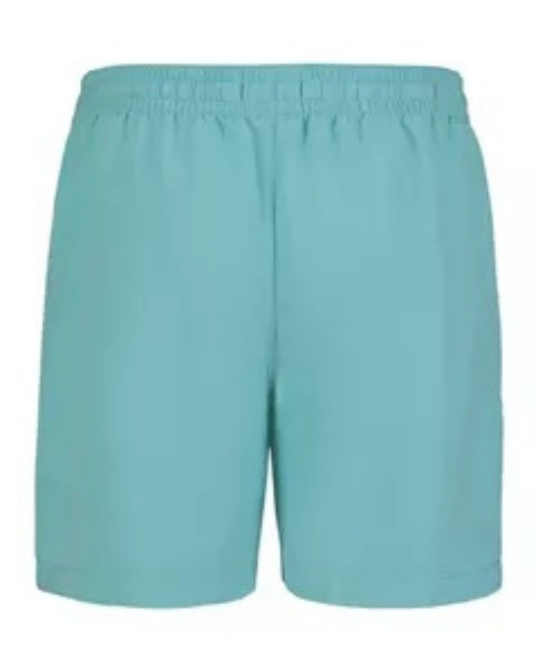 Swim Shorts in Aqua