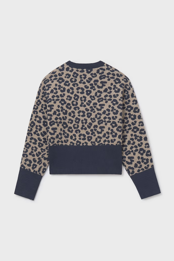 Leopard Jumper
