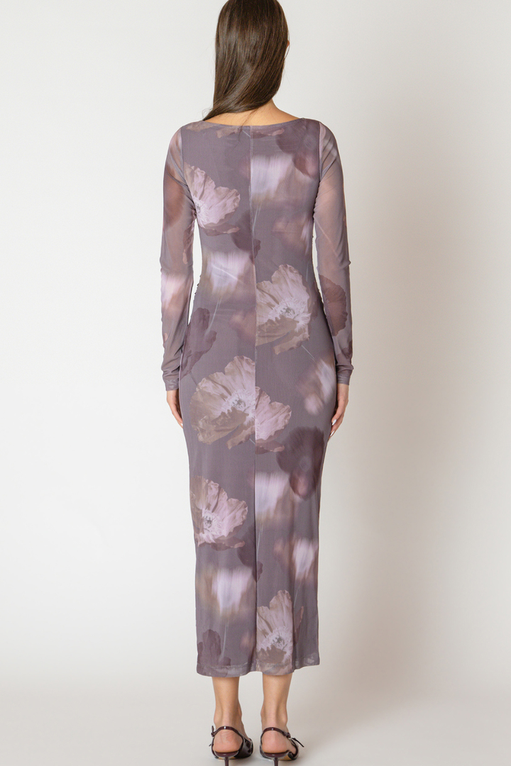Campbell Printed Mesh Maxi Dress