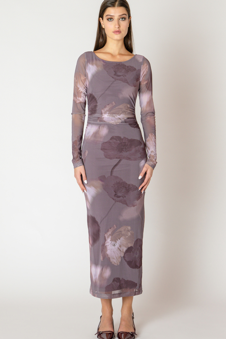 Campbell Printed Mesh Maxi Dress