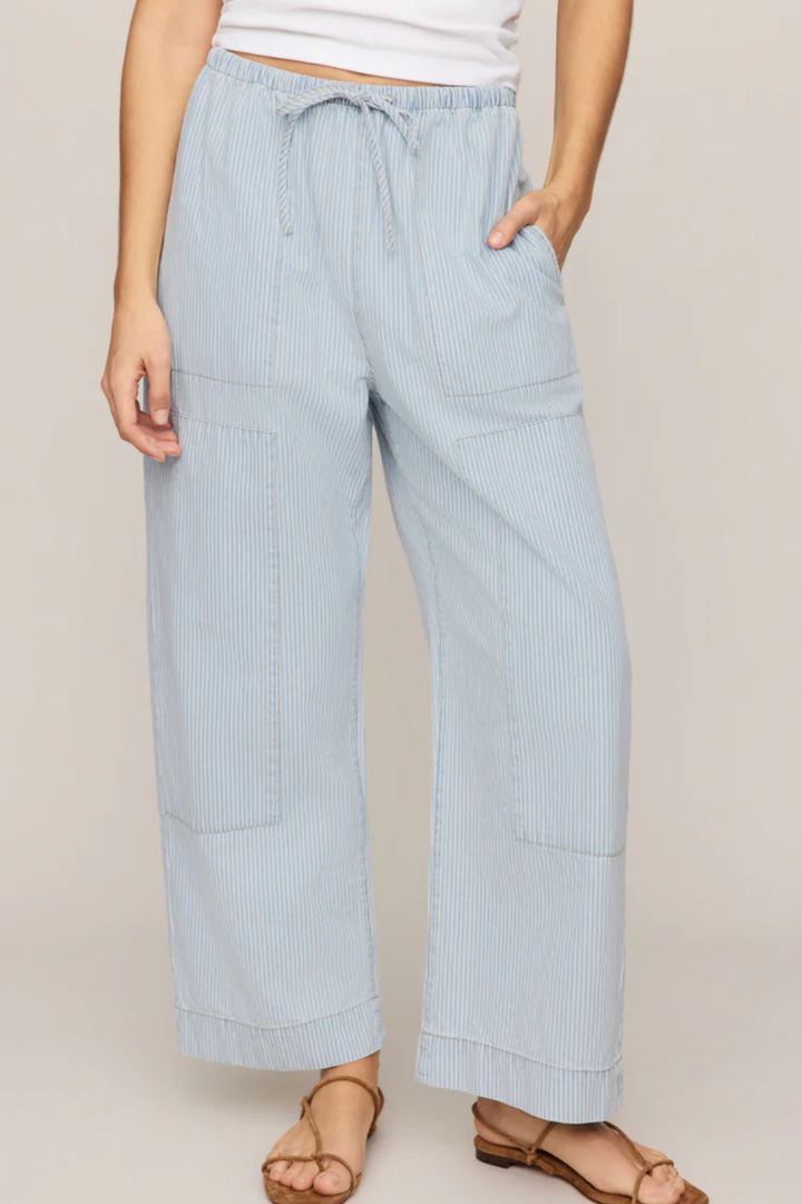 Z Supply Soft Denim Carpenter Pant