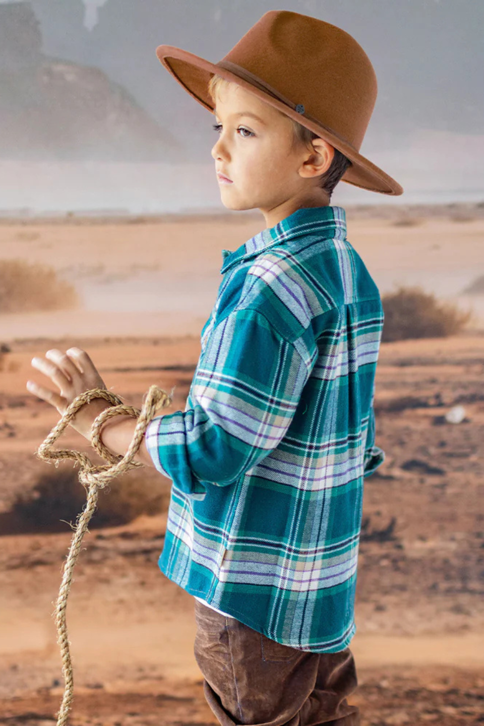 Brown felt fedora hat